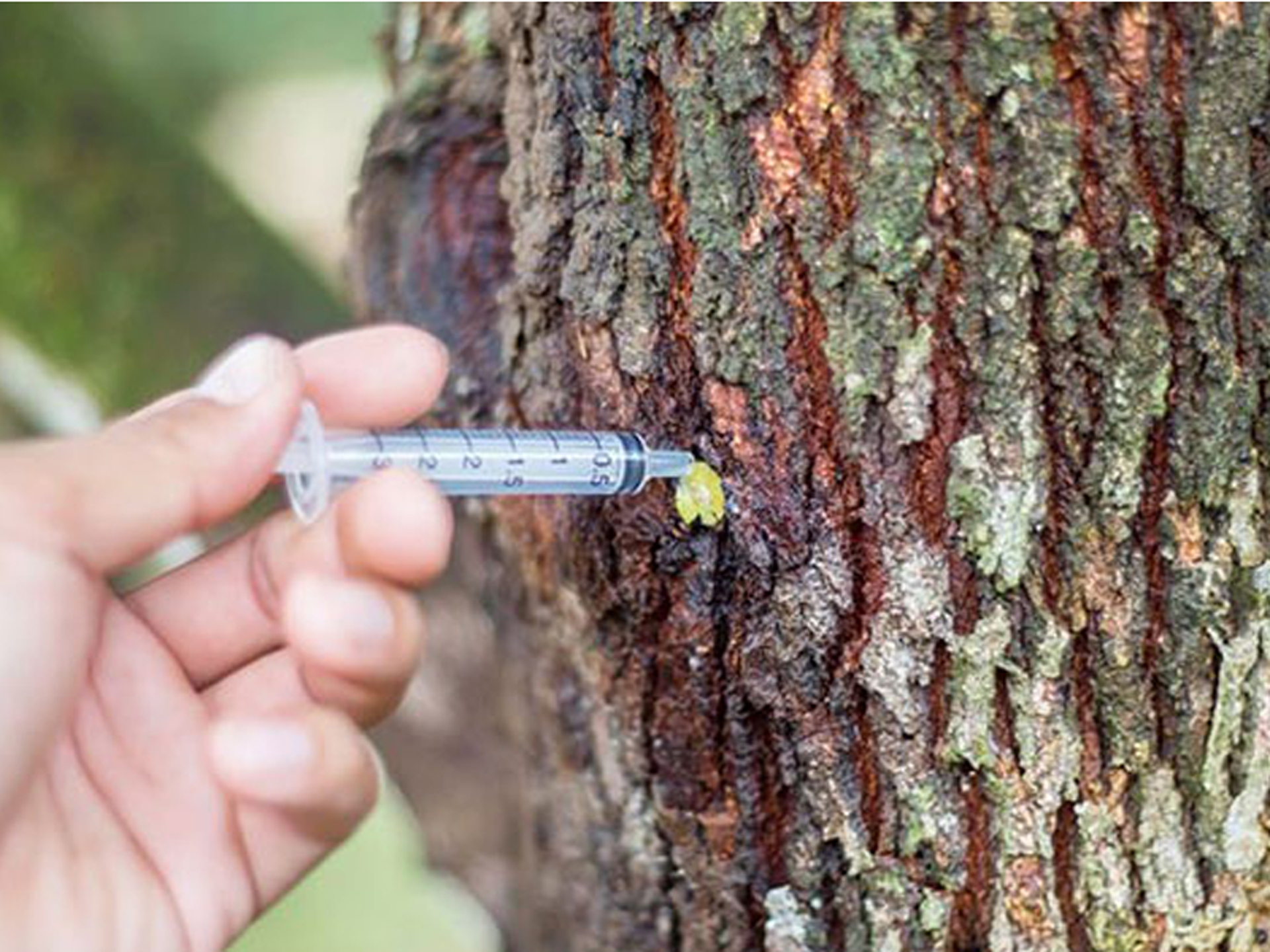 Custom Fertilization Services