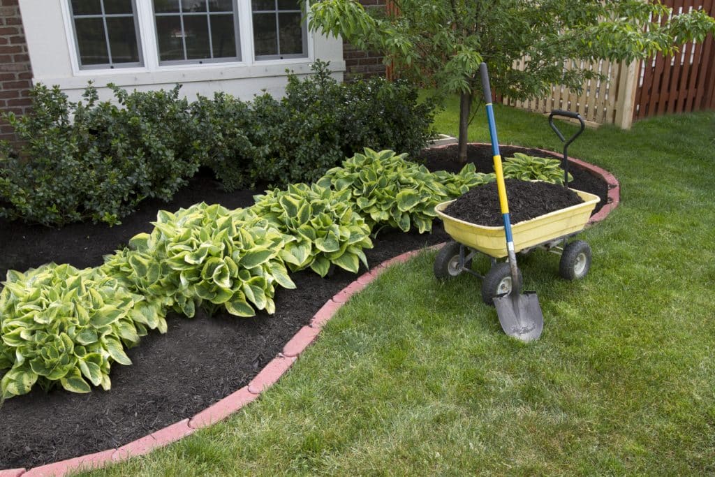 Mulching around the house