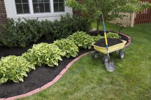 Mulching around the house